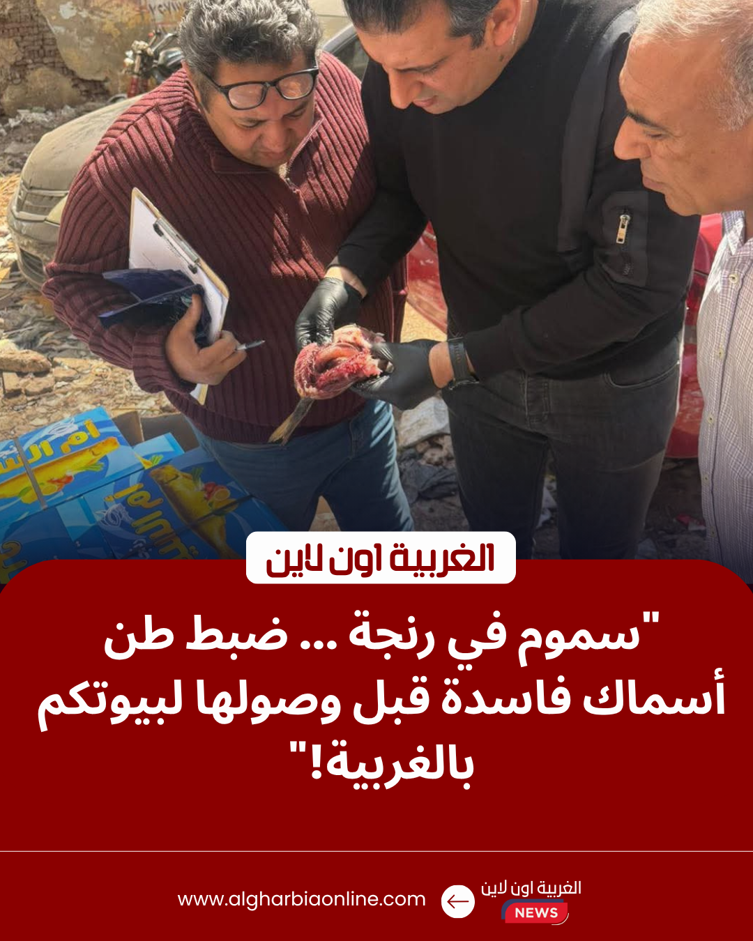 ضبط أسماك مملحة وفردة فسيخ غير صالحة في حملة تموينية بالغربية