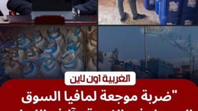 محافظ الغربية يوجه ضربات قاصمة لمافيا السوق السوداء: ضبط 6000 لتر زيت وطن أسماك مجهولة