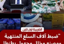 ​ضربة للمخالفين.. ضبط 3400 عبوة أغذية فاسدة و4 أطنان مخللات في محافظة الغربية