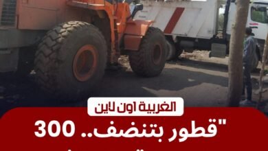 محافظ الغربية يخلص قطور من 300 طن مخلفات في حملة مكبرة 2 محافظ الغربية يخلص قطور من 300 طن مخلفات في حملة مكبرة