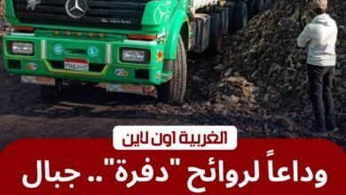 بـ 70 ألف طن.. محافظ الغربية يقتحم "أزمة دفرة" وينهي كابوس التراكمات التاريخية بطنطا 2 بـ 70 ألف طن.. محافظ الغربية يقتحم "أزمة دفرة" وينهي كابوس التراكمات التاريخية بطنطا