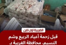 أسواق طنطا والمحلة تحت المجهر.. محافظ الغربية يضرب بيد من حديد قبل أعياد الربيع