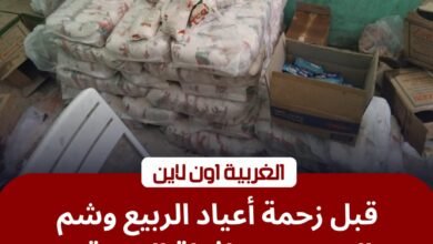 أسواق طنطا والمحلة تحت المجهر.. محافظ الغربية يضرب بيد من حديد قبل أعياد الربيع 2 أسواق طنطا والمحلة تحت المجهر.. محافظ الغربية يضرب بيد من حديد قبل أعياد الربيع