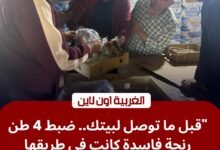 ضبط 4 أطنان "رنجة فاسدة" قبل طرحها بالأسواق في كفر الزيات