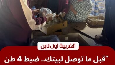 ضبط 4 أطنان "رنجة فاسدة" قبل طرحها بالأسواق في كفر الزيات 2 ضبط 4 أطنان "رنجة فاسدة" قبل طرحها بالأسواق في كفر الزيات