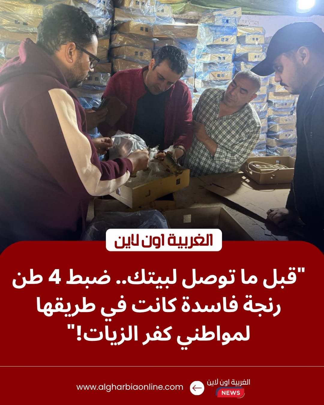 ضبط 4 أطنان "رنجة فاسدة" قبل طرحها بالأسواق في كفر الزيات 8 ضبط 4 أطنان "رنجة فاسدة" قبل طرحها بالأسواق في كفر الزيات