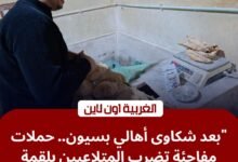 محافظ الغربية يباغت مخابز بسيون بـ 11 محضراً.. "نقص وزن ونظافة" بـ 5 قرى