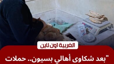 محافظ الغربية يباغت مخابز بسيون بـ 11 محضراً.. "نقص وزن ونظافة" بـ 5 قرى 1 محافظ الغربية يباغت مخابز بسيون بـ 11 محضراً.. "نقص وزن ونظافة" بـ 5 قرى