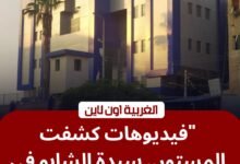 فيديو "كفر الجنينة" المخل.. أمن مركز المحلة ينهي الجدل ويضبط المتهمة