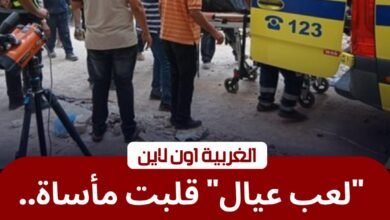بسبب لهو الأطفال.. مقتل شخص طعناً في مشاجرة بقرية ميت غزال بالسنطة