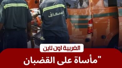 حادث قطار طنطا.. مصرع شاب مجهول الهوية أسفل عجلات السكة الحديد بالعجيزي 2 حادث قطار طنطا.. مصرع شاب مجهول الهوية أسفل عجلات السكة الحديد بالعجيزي