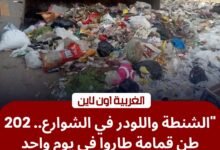 محافظ الغربية يقود حملة "تطهير" بؤر القمامة: رفع 202 طن مخلفات في طنطا والمحلة