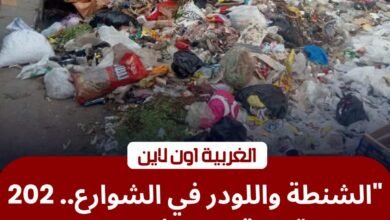 محافظ الغربية يقود حملة "تطهير" بؤر القمامة: رفع 202 طن مخلفات في طنطا والمحلة