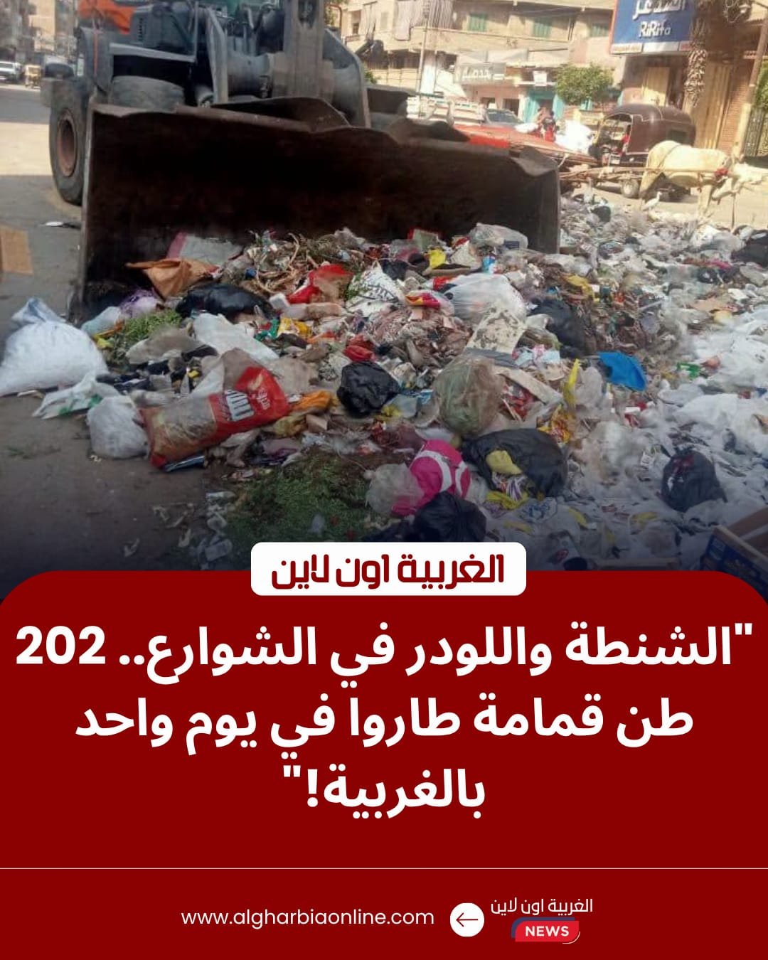 محافظ الغربية يقود حملة "تطهير" بؤر القمامة: رفع 202 طن مخلفات في طنطا والمحلة