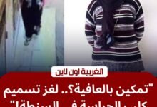 كواليس "طعام مسمم" بمركز السنطة.. أمن الغربية يضبط المتهمة بتخدير "كلب حراسة"