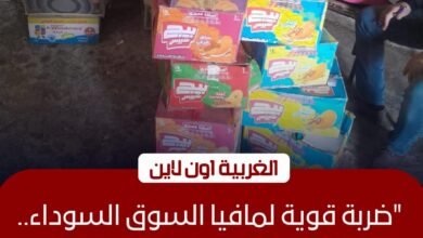 بمشاركة طنطا وكفر الزيات.. حملات تموينية في الغربية تضبط 5 طن زيت هالك وسلع منتهية الصلاحية