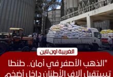 محافظ الغربية يتفقد صوامع طنطا ويتابع توريد 5983 طن قمح