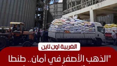 محافظ الغربية يتفقد صوامع طنطا ويتابع توريد 5983 طن قمح