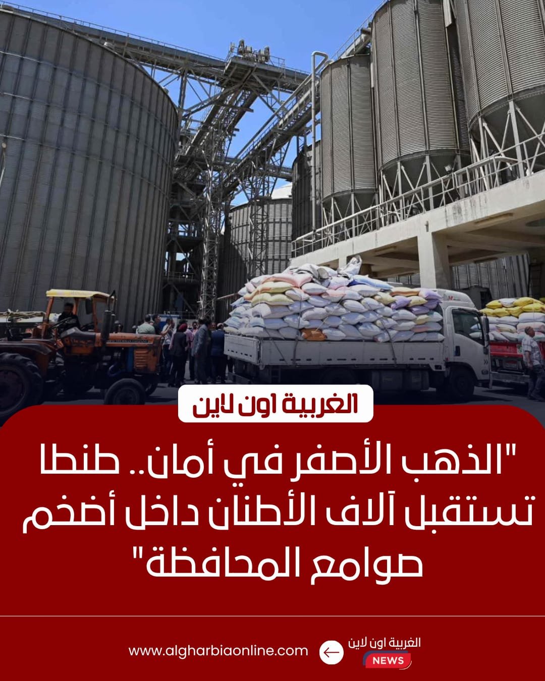 محافظ الغربية يتفقد صوامع طنطا ويتابع توريد 5983 طن قمح