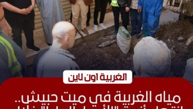 رئيس مياه الغربية يمهل المسؤولين 10 أيام لإنهاء أزمة ميت حبيش