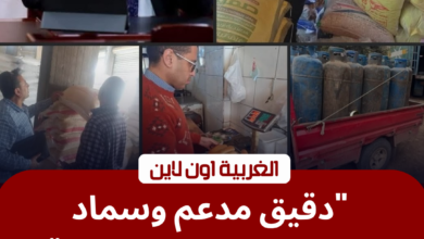 محافظ الغربية يوجه بضربات موجعة لمافيا السوق السوداء بقطور والمراكز 3 حملة تموينية في الغربية لضبط الدقيق المدعم والأسمدة بقطور