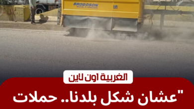 حملات النظافة في الغربية لرفع المخلفات من طريق طنطا الإسكندرية الزراعي
