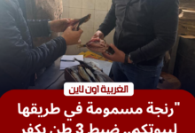 ضبط رنجة فاسدة في كفر الزيات بمحافظة الغربية