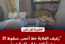 حملة رقابية لمديرية تموين الغربية على مخابز المحلة الكبرى