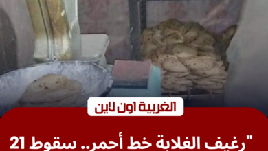 ضربة لـ «تموين الغربية».. ضبط 21 مخبزاً تتلاعب في أوزان الخبز بالمحلة 3 حملة رقابية لمديرية تموين الغربية على مخابز المحلة الكبرى