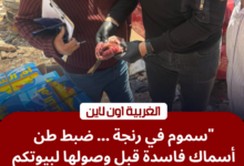 ضبط أسماك مملحة وفردة فسيخ غير صالحة في حملة تموينية بالغربية