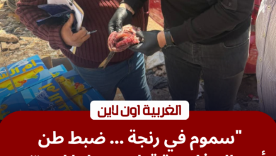 ضبط أسماك مملحة وفردة فسيخ غير صالحة في حملة تموينية بالغربية