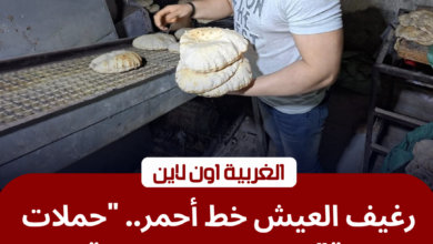 حملة تموينية تفتش على جودة رغيف الخبز في مخابز الغربية بالمحلة الكبرى