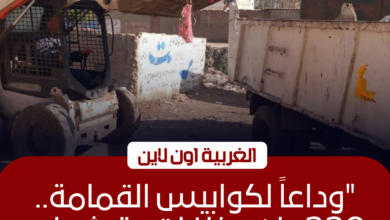 رفع 220 طن مخلفات من 6 بؤر بالغربية