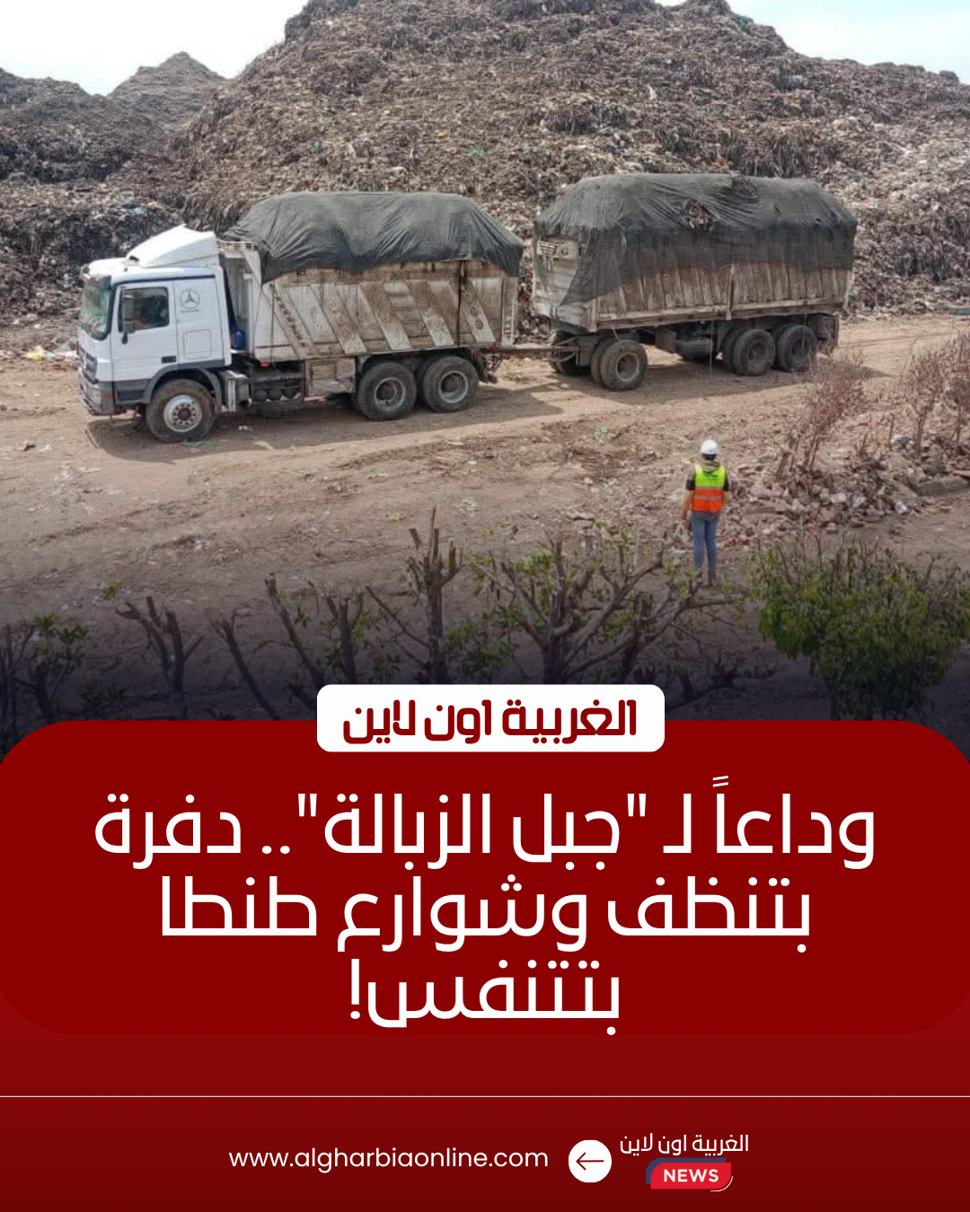 إزالة 19 ألف طن قمامة من "دفرة" بطنطا خلال ساعات