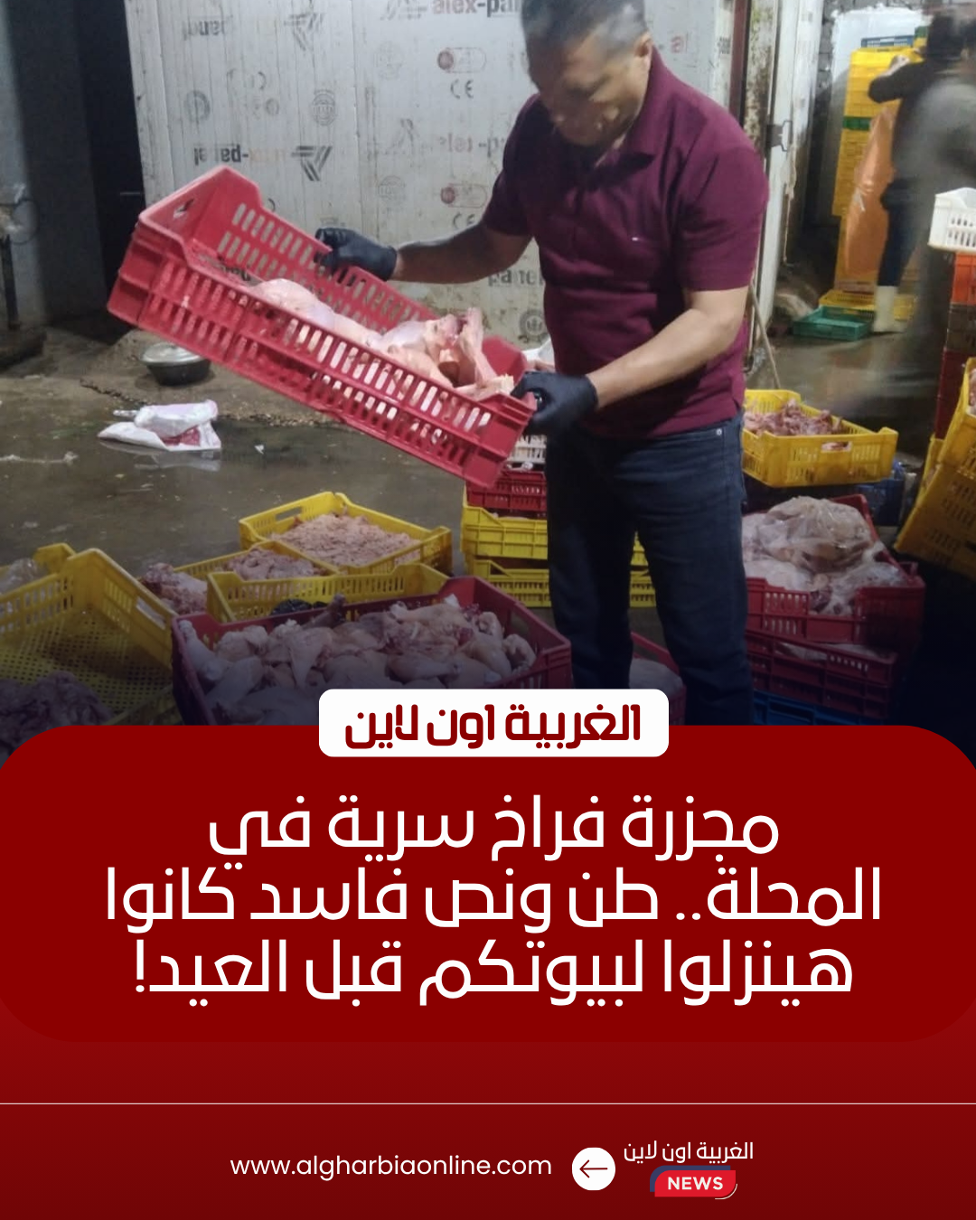 ضبط طن ونصف دواجن فاسدة داخل مجزر غير مرخص في المحلة 8 ضبط طن ونصف دواجن فاسدة داخل مجزر غير مرخص في المحلة