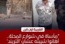 أمن الغربية يضبط المتهمين بالتنمر على "مسن المحلة" بعد فيديو "كيس المياه"