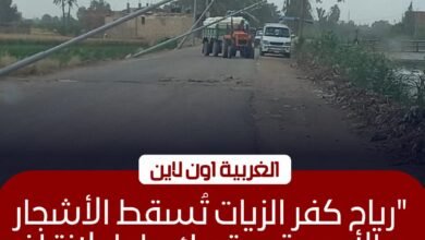 ​إزالة آثار الرياح وسقوط أشجار وأعمدة إنارة بمركز كفر الزيات
