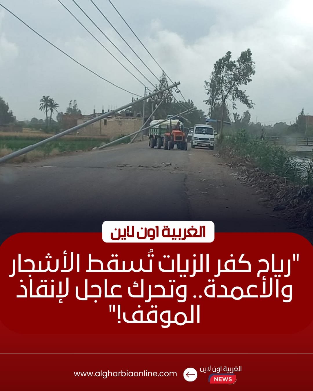 ​إزالة آثار الرياح وسقوط أشجار وأعمدة إنارة بمركز كفر الزيات