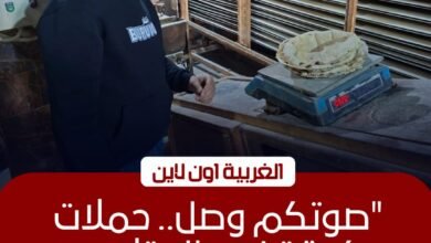 محافظ الغربية يوجه بضربة تموينية لـ 4 مراكز وتحرير 20 محضراً لمخابز