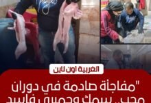ضبط أغذية فاسدة ومنتهية الصلاحية داخل سوبر ماركت شهير بالمحلة