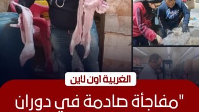 ضبط أغذية فاسدة ومنتهية الصلاحية داخل سوبر ماركت شهير بالمحلة