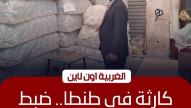 ضبط مصنع زيوت "بير سلم" بطنطا وتحرير 52 محضرًا لمخابز الغربية