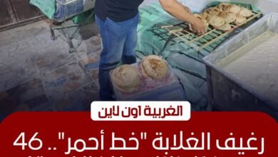 تحرير 46 محضراً لمخابز مخالفة في طنطا والمحلة وكفر الزيات