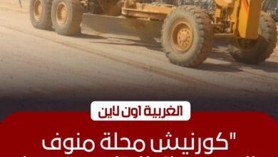 محافظ الغربية: إنجاز 80% من تطوير كورنيش محلة منوف بطنطا