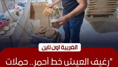 تحرير 11 محضرًا لمخابز طنطا في حملة رقابية بـ "برما وكفر الحما"