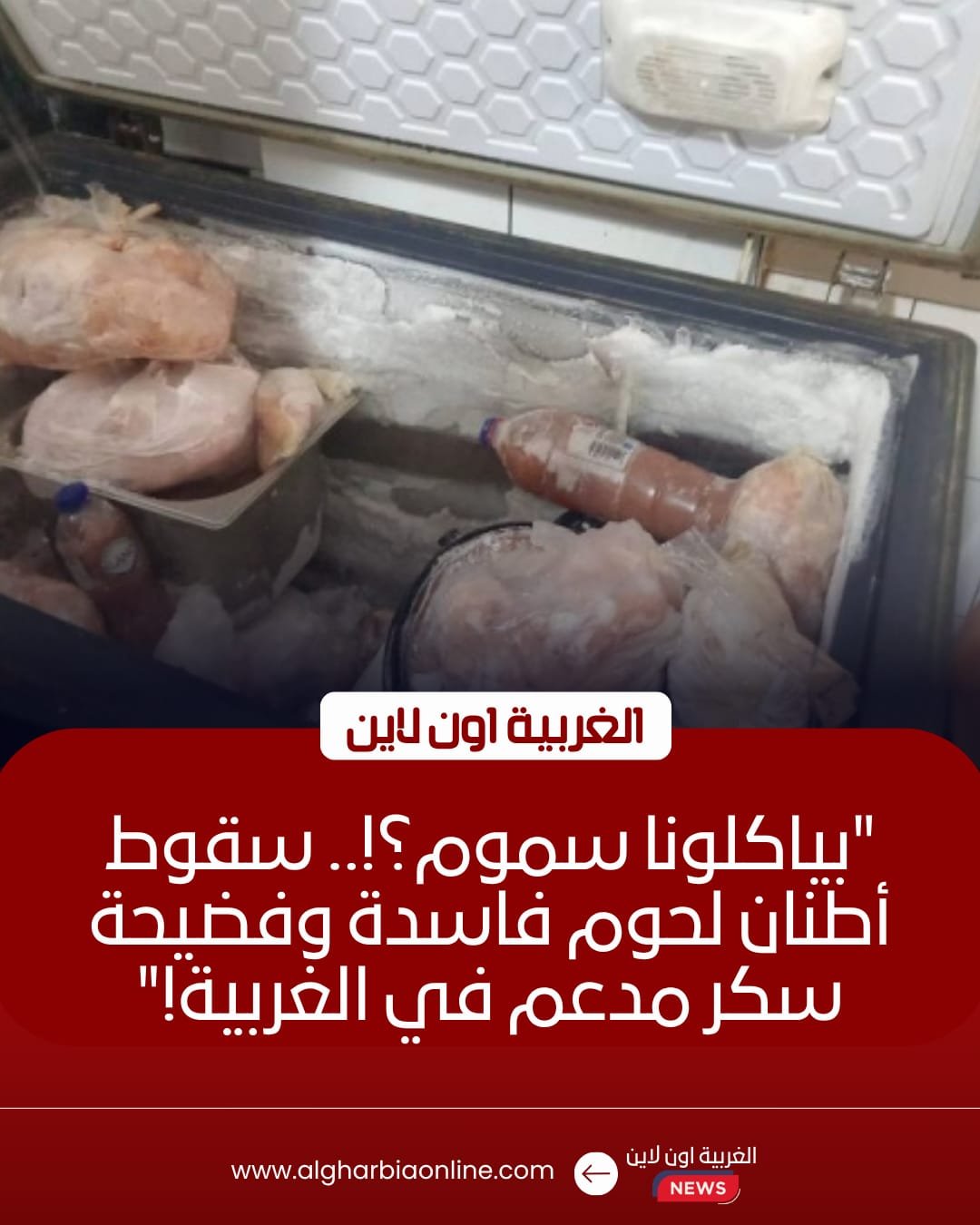 ضبط 760 كيلو أغذية فاسدة في حملة تموينية مكثفة بمراكز الغربية