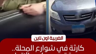 ضبط سيدة قادت سيارتها عكس الاتجاه واعتدت على مواطن بالمحلة