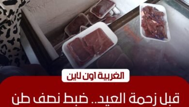 ضبط نصف طن لحوم ودواجن فاسدة وتحرير 83 محضرًا بأسواق الغربية