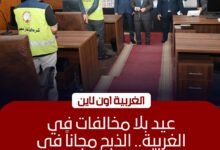 استعدادات عيد الأضحى في الغربية: فتح المجازر مجانًا وحظر الذبح بالشوارع