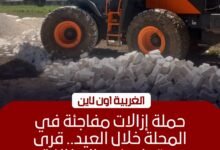إزالة 9 حالات تعدٍ على الأراضي الزراعية بمركز المحلة في الغربية